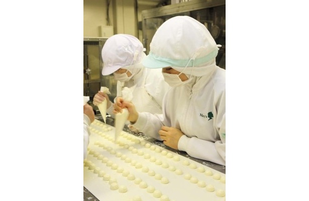老舗チョコレート工場に潜入！世界に誇れる職人技を見た