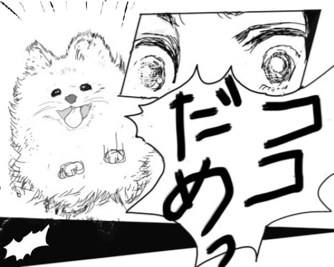 涙なしでは読めない!!「あの子、亡くなったんです…私のせいで」ペットと飼い主の深すぎる絆に号泣【作者に聞く】
