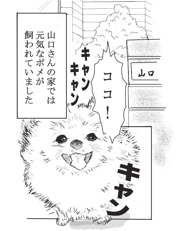ココや_P01