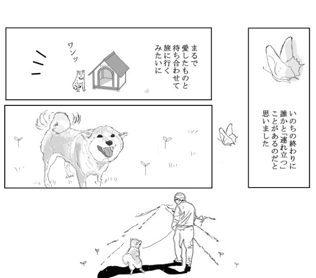 同行_P11