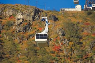 絶景と動物に出合う！那須高原の癒し秋旅へ