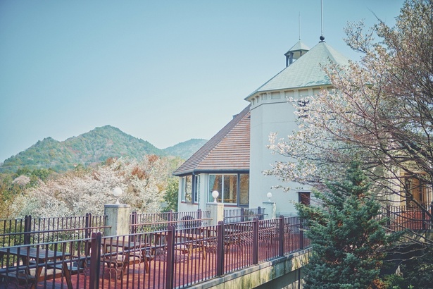 森のホール周辺に咲く山桜と春色の木々。背後にそびえる六甲の山々と調和するように咲き誇る