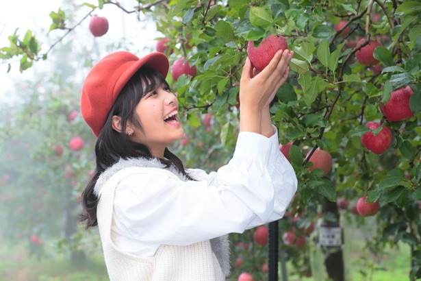 「あー！真っ赤でおいしそーう♪」