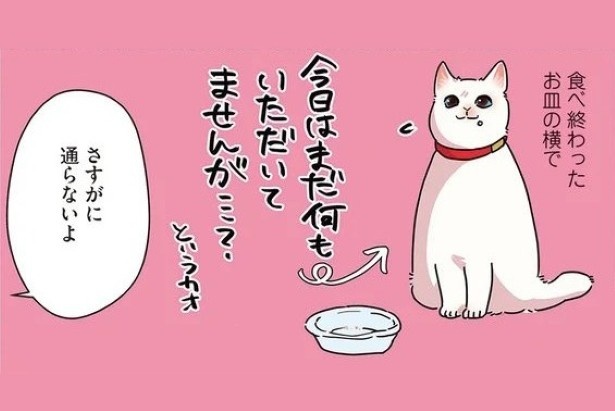 当たり屋してくる猫_P04