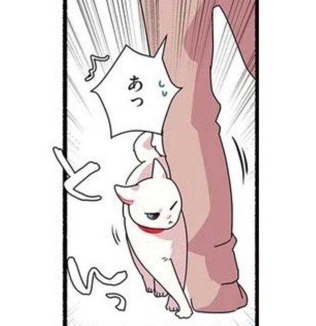 当たり屋してくる猫_P06