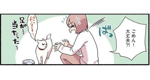 当たり屋してくる猫_P07
