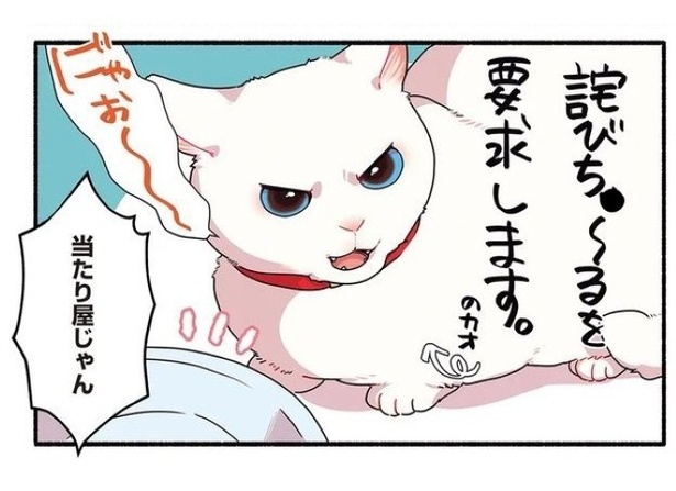 当たり屋してくる猫_P08