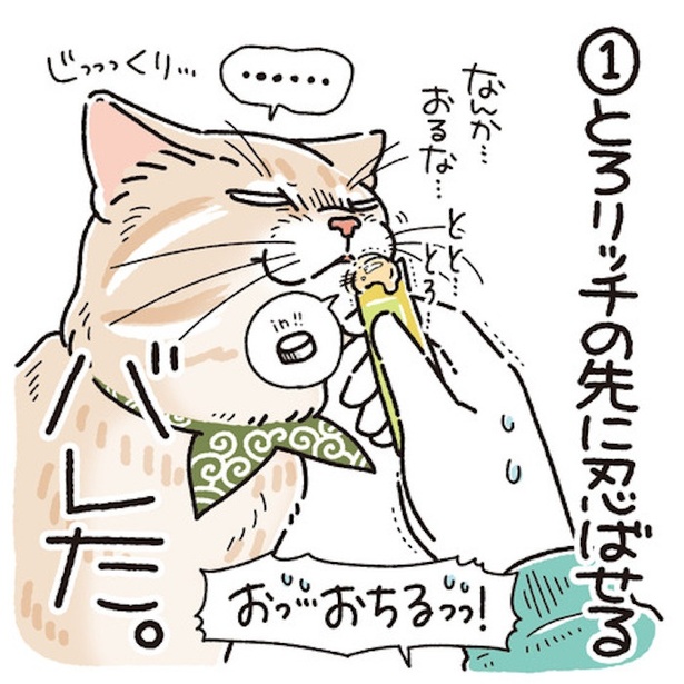麦の健康診断⑥(2)