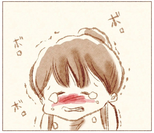 ボロボロボロ
