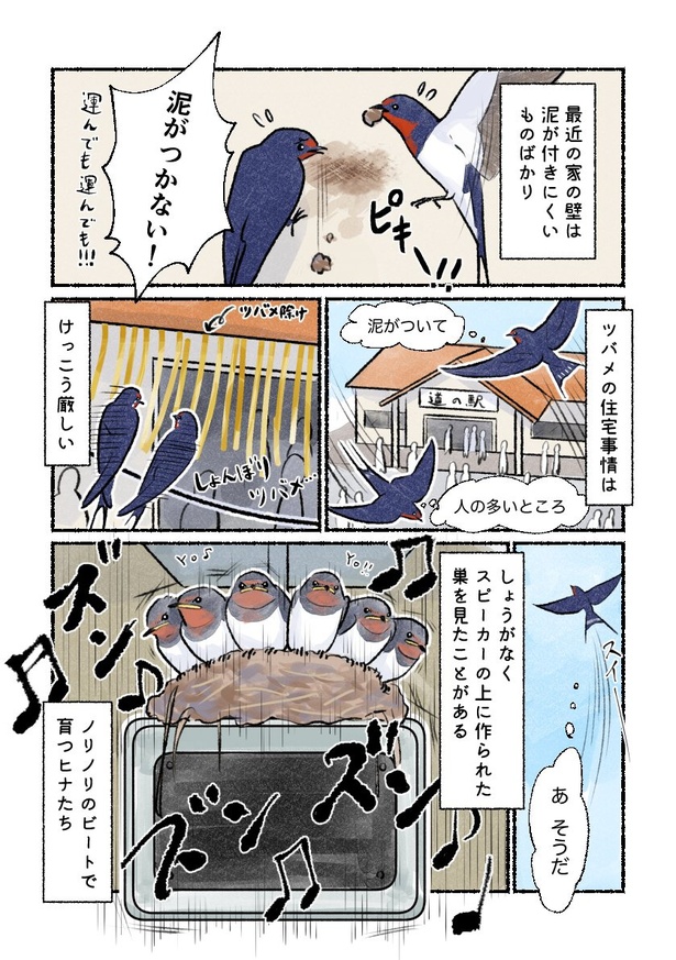 巣作りの場所に困った親鳥が見つけた最適な場所とは…!? ツバメ03「住宅難のツバメたち」