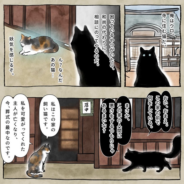 『ウロの物語』(1／20)