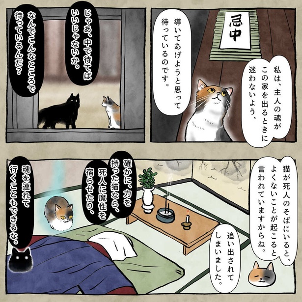 『ウロの物語』(2／20)