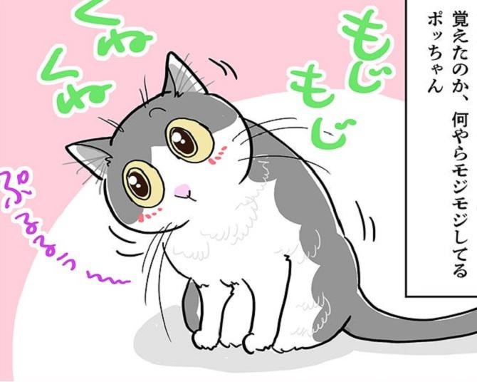 【愛ネコ漫画】くねくね、モジモジ…の駆け引きがかわいいけどちょいウザ!?そのウラにある愛猫の作戦とは？【作者に聞いた】