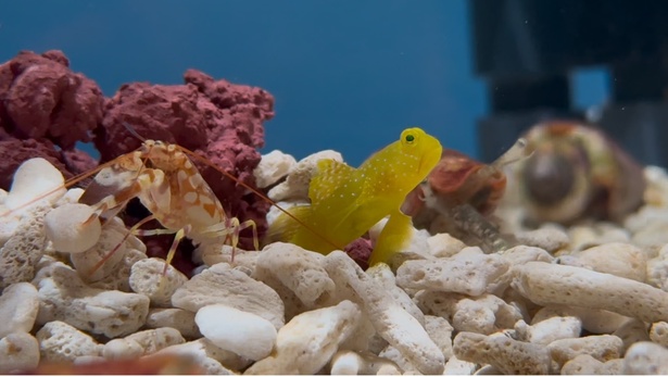 生き物の棲む環境を再現した空間で飼育