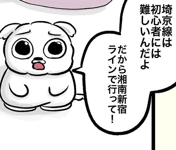 「初心者は埼京線より新宿湘南ラインを使って～！」その理由が偏見すぎた!?