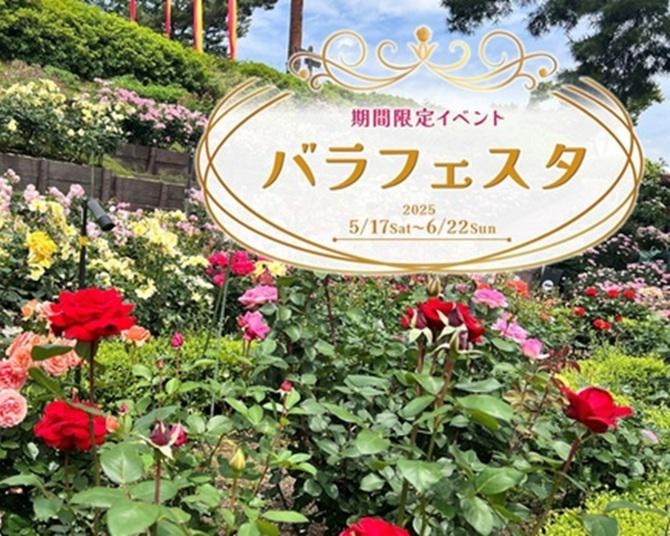 西武園ゆうえんちで「バラフェスタ2025」開催！約150品種のバラと多彩なイベントを満喫