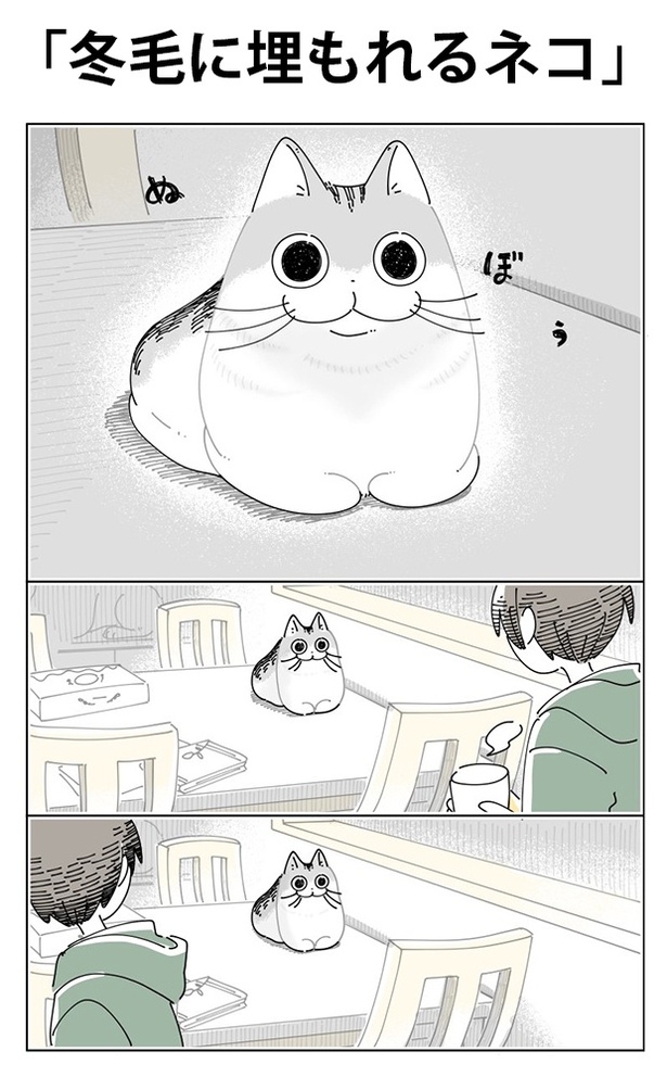 「冬毛に埋もれるネコ」01