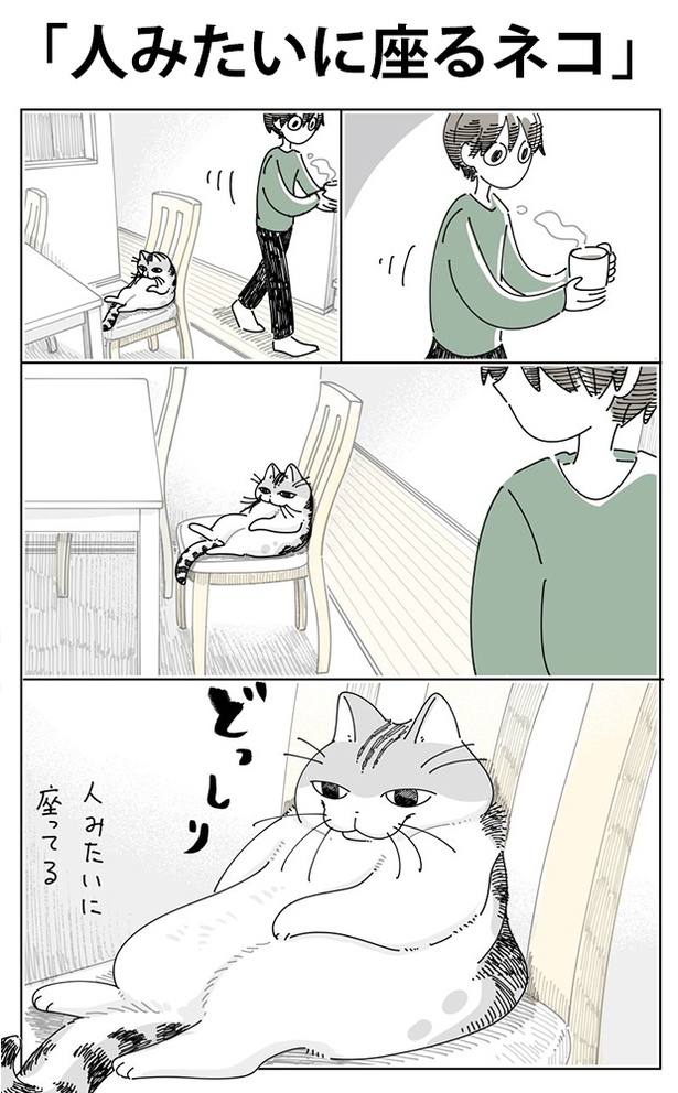 「人みたいに座るネコ」01