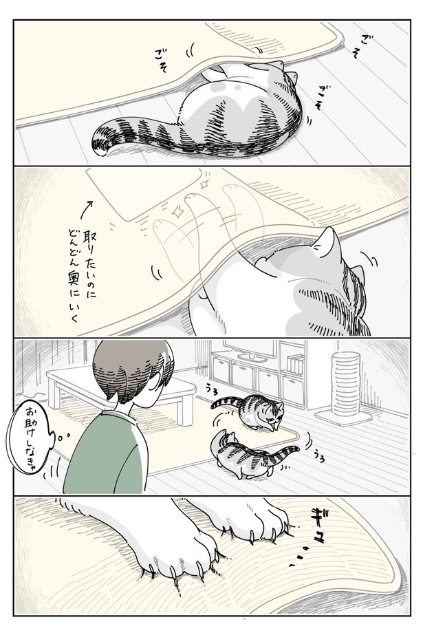 02