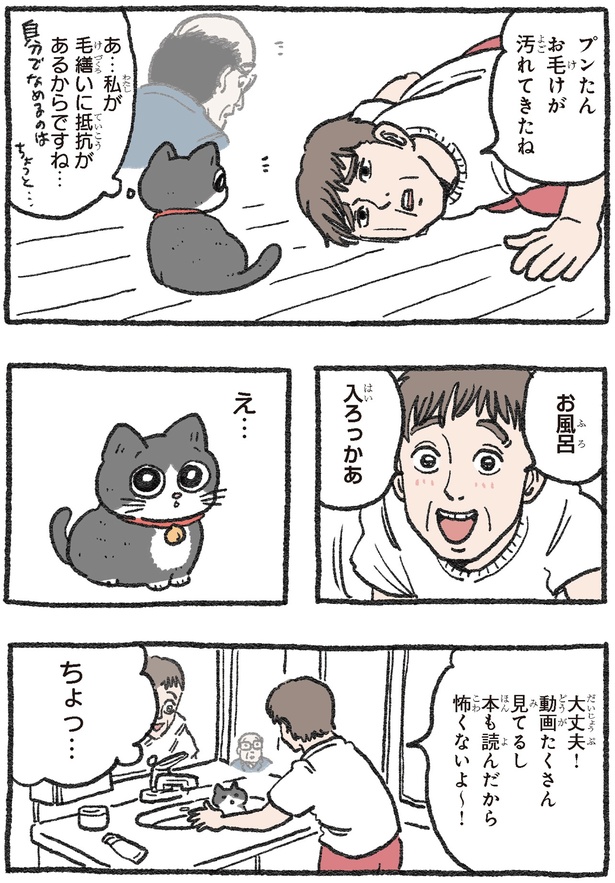 お毛けが汚れてきたね （C）やじま／KADOKAWA