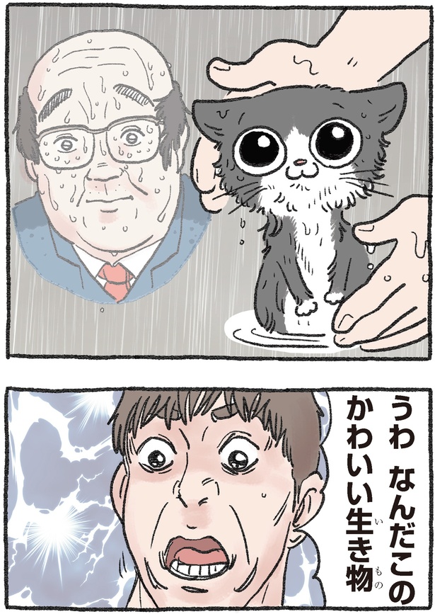 なんだこの可愛い生き物 （C）やじま／KADOKAWA