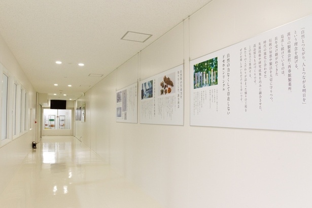 「薬彩工園」の見学も社員が解説してくれるのでわかりやすい