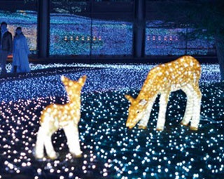【絶景イルミ】シカのイルミもキュート！奈良の寺社をつなぐ「しあわせ回廊なら瑠璃絵」