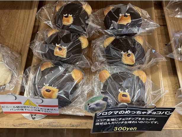 ココア生地にチョコチップを混ぜ込んだクロクマのめっちゃチョコパン