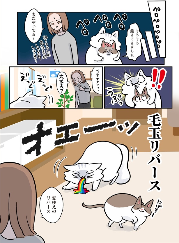 毛玉リバース (C)こばん／KADOKAWA