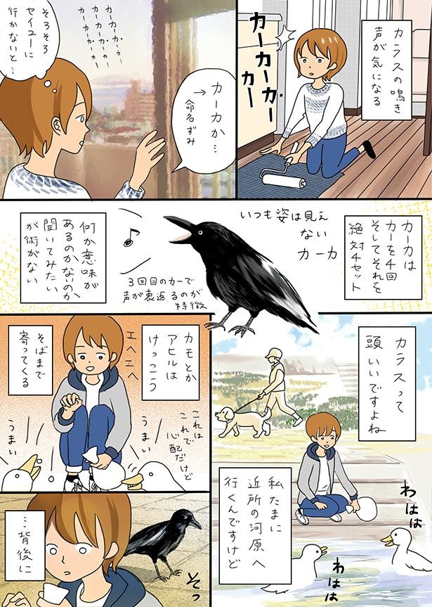 ■画像をクリックで次へ！／カラスの鳴き声が気になる_P1