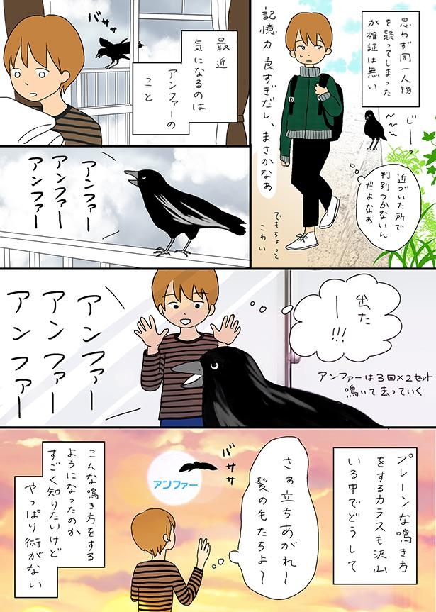 ■画像をクリックで次へ！／カラスの鳴き声が気になる_P3