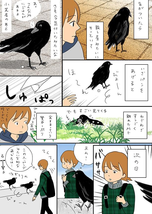 ■画像をクリックで次へ！／カラスの鳴き声が気になる_P2