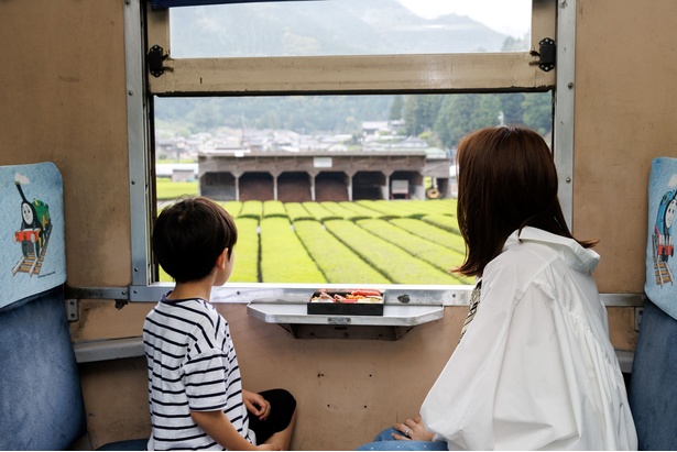 「葉っぱの列がいっぱい～！」と言うゆうのすけくんに、「あれは茶畑って言って、お茶の葉っぱを作っているの。静岡はお茶の産地なんだって」とゆきこさんが答えるシーンも