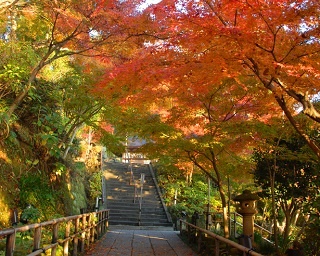 【お手軽！日帰り山歩き】“鎌倉アルプス”のお隣に位置する「葛原岡・大仏ハイキングコース」は、パワスポの宝庫!!