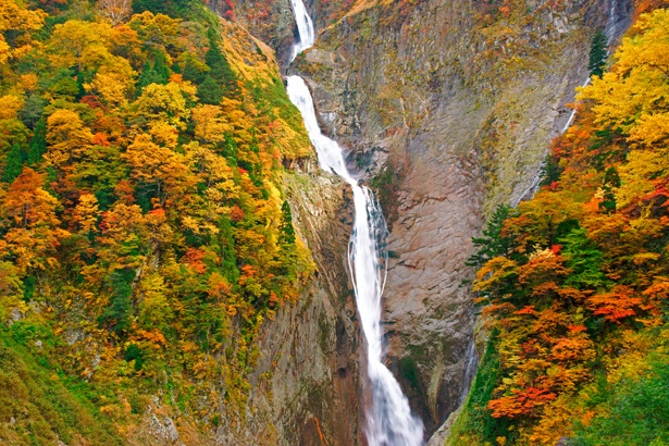 最寄りには、日本一の落差を誇る「称名滝」があるので足を運んでみよう。立山駅からバスで約15分