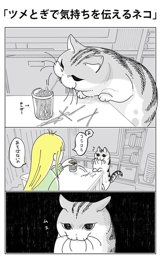 「ツメとぎで気持ちを伝えるネコ」01
