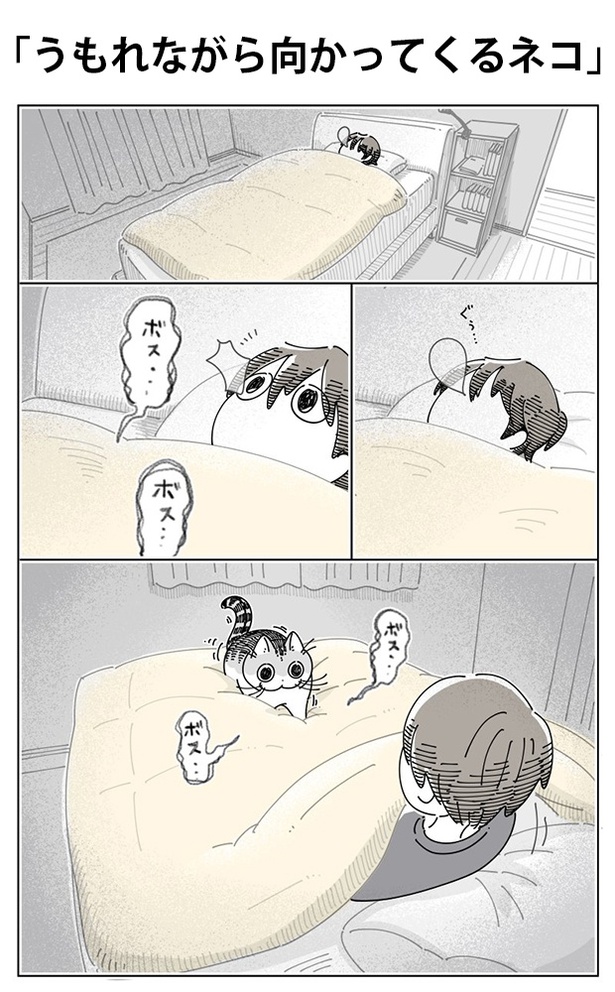 「うもれながら向かってくるネコ」01