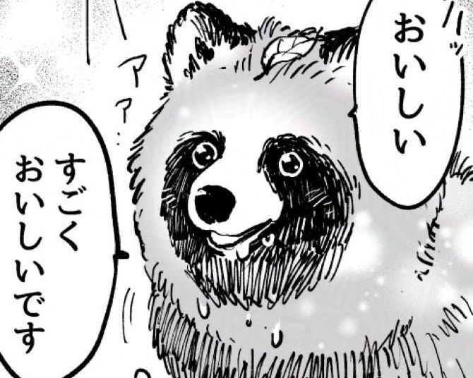 【街でスカウト】人生疲れたので、人間やめます！タヌキになって山に移住すればいいか【作者に聞く】