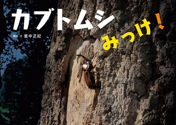 カブトムシみっけ! 作:里中正紀 / 徳間書店