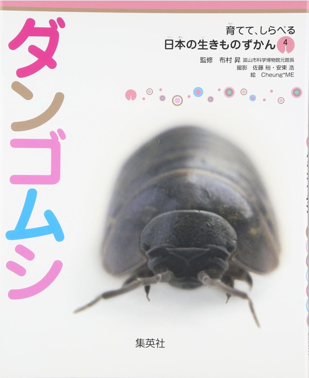 育てて、しらべる 日本の生きものずかん(4) ダンゴムシ 監修:布村 昇 写真:佐藤 裕 安東 浩 / 集英社