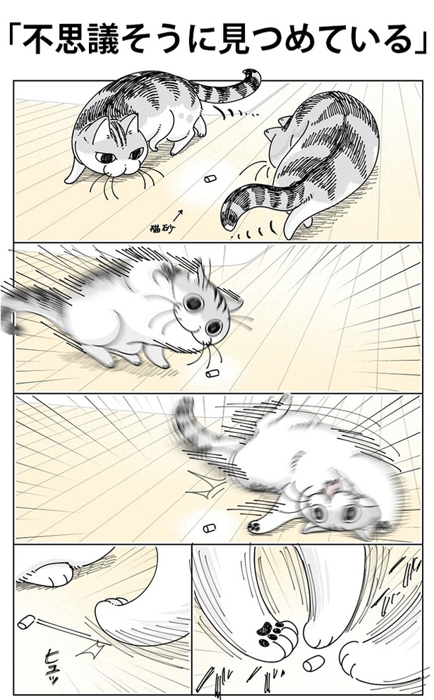 「不思議そうに見つめている」01