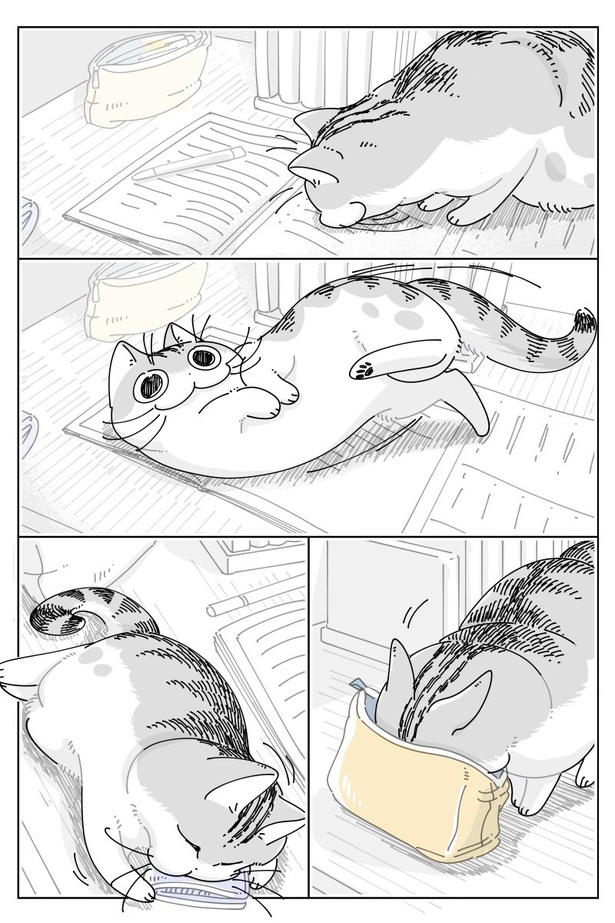 02