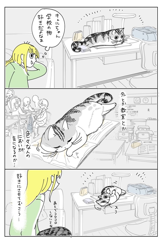 03