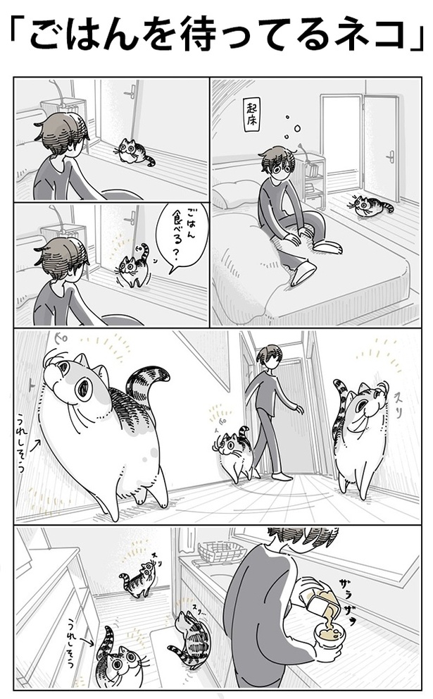 「ごはんを待ってるネコ」01