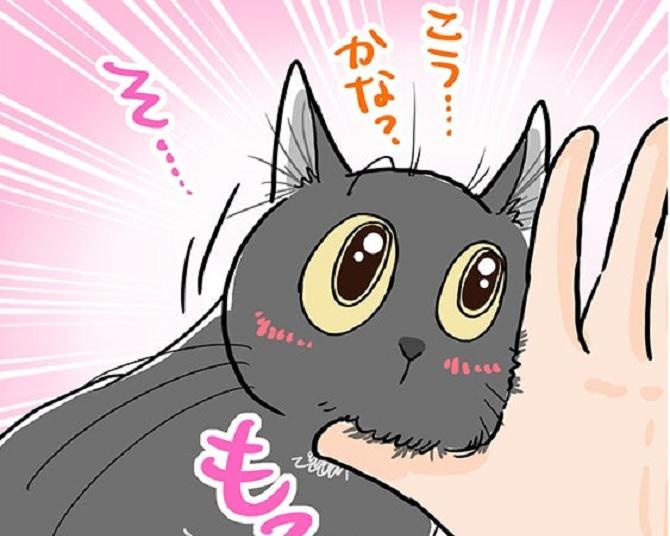 【愛ネコ漫画】かわいいんですけどー!!飼い主がキュン死した、愛猫の予想外の反応とは？【作者に聞いた】