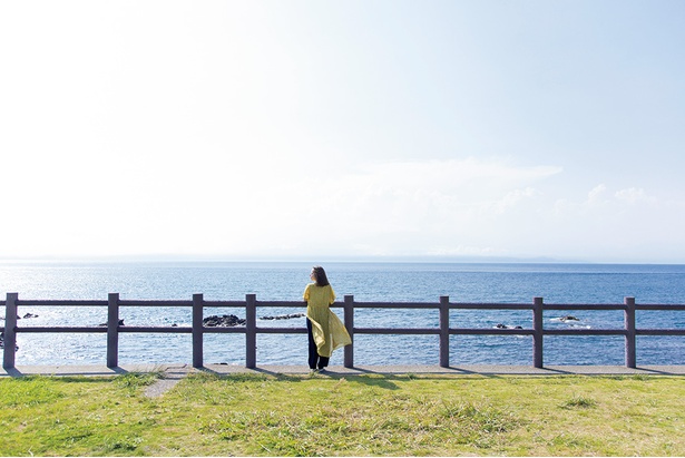 伊豆半島を正面に望む、野田浜の美しいビーチ。キラキラと輝くブルーの海をいつまでも眺めていたくなる