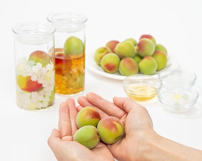 旬の南高梅にこだわった「蝶矢“旬の”梅酒キット」が梅体験専門店で予約販売中！初心者でも簡単につくれる