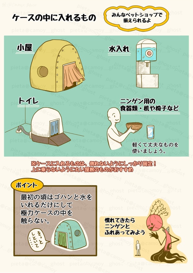 ニンゲンの飼い方「ニンゲンを買うのに必要なもの」2