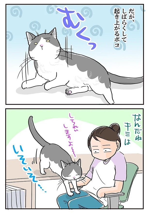 「猫が長くなる季節」2