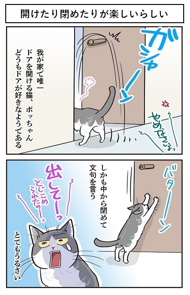「開けたり閉めたりが楽しいらしい」1